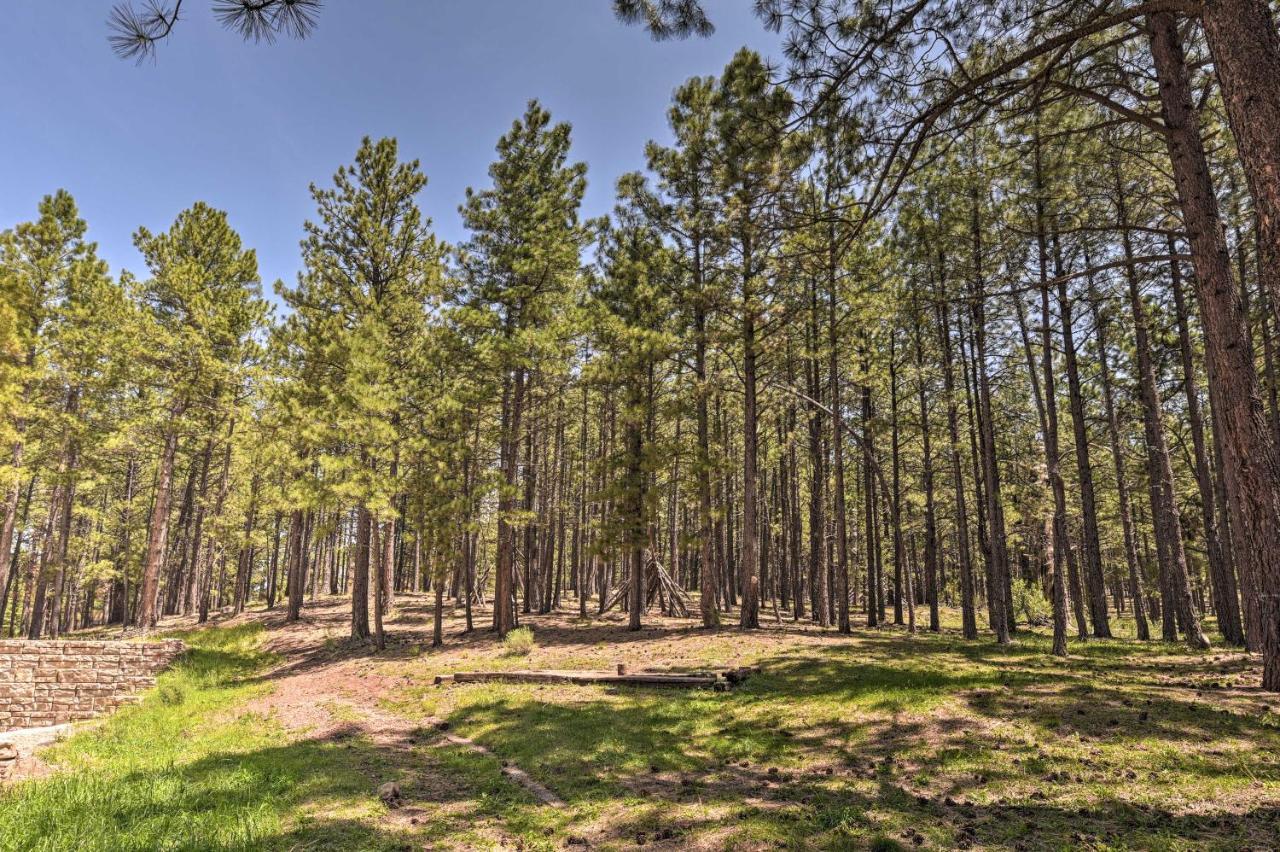 Angel Fire All-Season Escape Walk To Ski And Trails Exterior foto